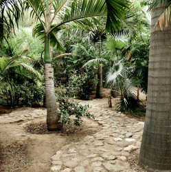 Roman Villa Services