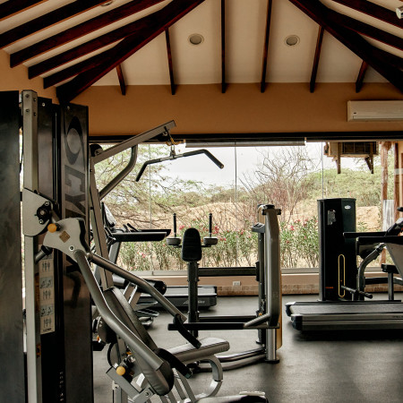 Gym Villa Romana