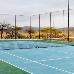 Tennis Lessons with a Professional at Villa Romana